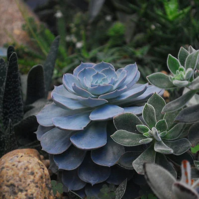 免费Clash节点 | 3月19日18.5M/S|免费Singbox节点/V2ray节点/Clash节点/SSR节点/Trojan节点/Shadowrocket节点机场推荐，在线Clash机场梯子购买推荐