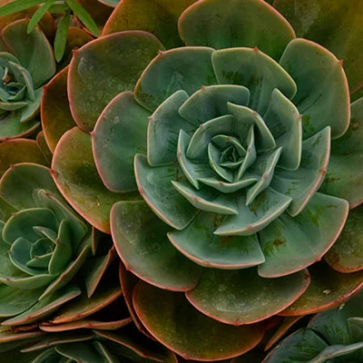 免费Clash节点 | 1月22日19.4M/S|免费V2ray节点/Trojan节点/Singbox节点/Clash节点/Shadowrocket节点/SSR节点机场推荐，在线Clash机场梯子购买推荐