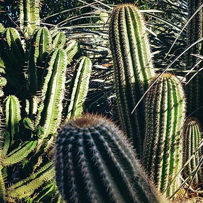 免费Clash节点 | 3月7日21.6M/S|免费SSR节点/Clash节点/V2ray节点/Trojan节点/Singbox节点/Shadowrocket节点机场推荐，在线Clash机场梯子购买推荐