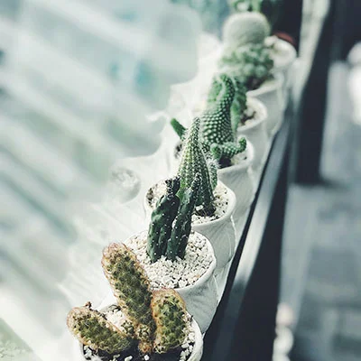 免费Clash节点 | 3月23日20.2M/S|免费Shadowrocket节点/Clash节点/Singbox节点/SSR节点/Trojan节点/V2ray节点机场推荐，在线Clash机场梯子购买推荐