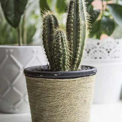 免费Clash节点 | 3月17日20.6M/S|免费Shadowrocket节点/Singbox节点/Trojan节点/Clash节点/V2ray节点/SSR节点机场推荐，在线Clash机场梯子购买推荐