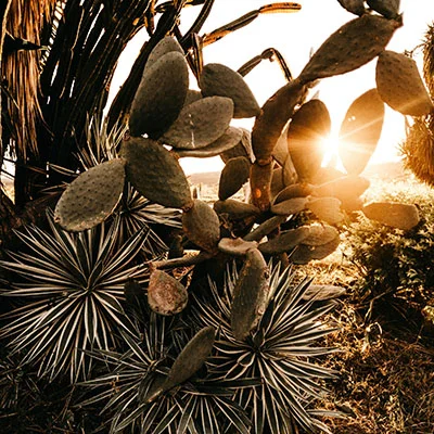 免费Clash节点 | 1月30日20.4M/S|免费Trojan节点/Singbox节点/Shadowrocket节点/Clash节点/V2ray节点/SSR节点机场推荐，在线Clash机场梯子购买推荐