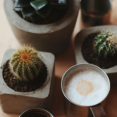 免费Clash节点 | 1月31日19.3M/S|免费V2ray节点/Singbox节点/Shadowrocket节点/SSR节点/Trojan节点/Clash节点机场推荐，在线Clash机场梯子购买推荐