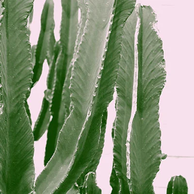 免费Clash节点 | 3月29日22.4M/S|免费Trojan节点/SSR节点/Shadowrocket节点/Clash节点/Singbox节点/V2ray节点机场推荐，在线Clash机场梯子购买推荐