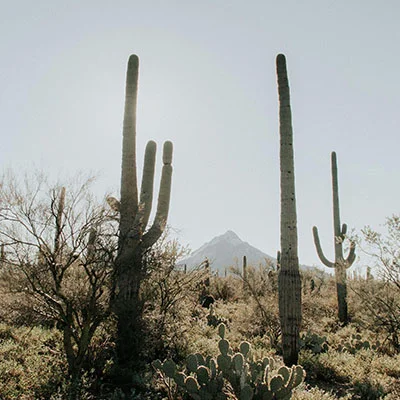 免费Clash节点 | 3月18日19.1M/S|免费SSR节点/Trojan节点/Singbox节点/Shadowrocket节点/V2ray节点/Clash节点机场推荐，在线Clash机场梯子购买推荐