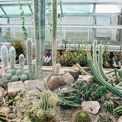 免费Clash节点 | 3月16日22.3M/S|免费V2ray节点/Singbox节点/Shadowrocket节点/SSR节点/Trojan节点/Clash节点机场推荐，在线Clash机场梯子购买推荐