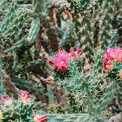 免费Clash节点 | 3月30日18.7M/S|免费Trojan节点/V2ray节点/Shadowrocket节点/SSR节点/Singbox节点/Clash节点机场推荐，在线Clash机场梯子购买推荐